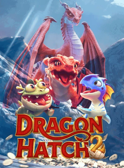 33dk